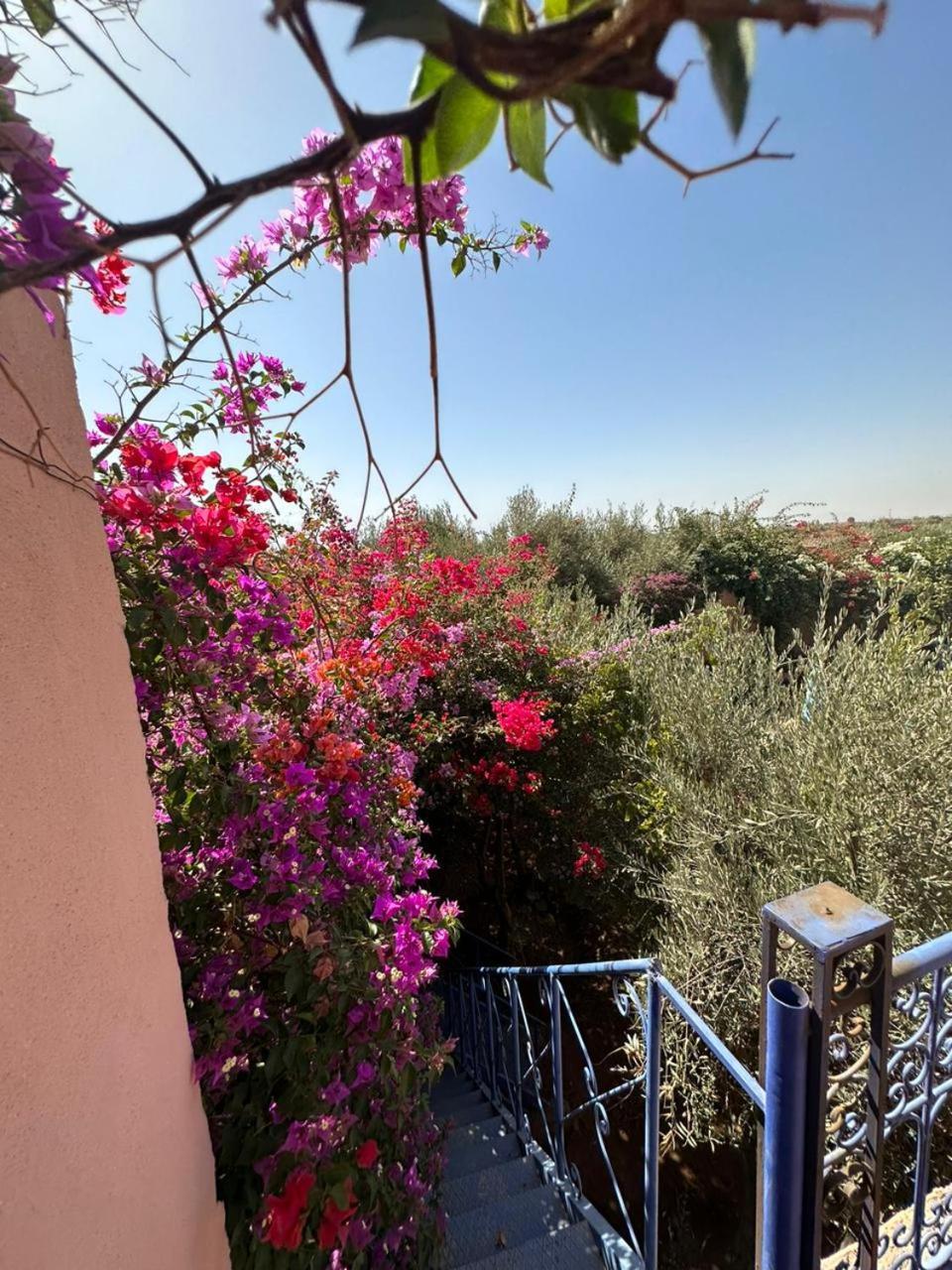 Villa Ms Holidays Mika Privatisee Marrakech Marakeş Dış mekan fotoğraf