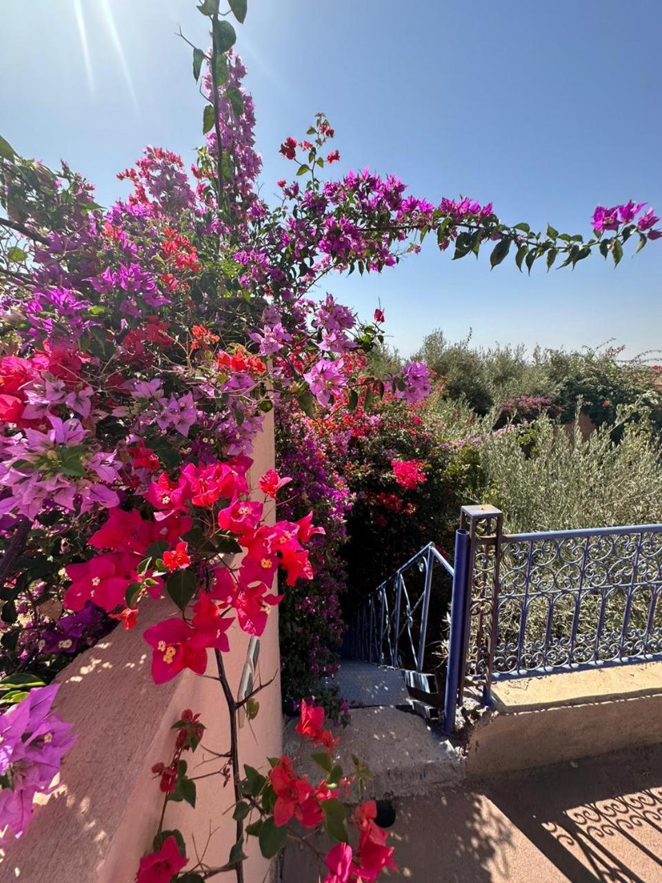Villa Ms Holidays Mika Privatisee Marrakech Marakeş Dış mekan fotoğraf