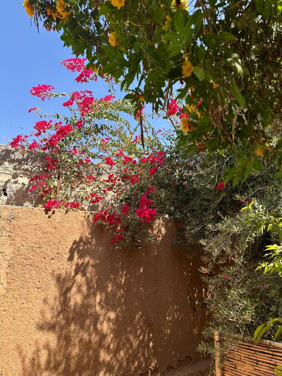 Villa Ms Holidays Mika Privatisee Marrakech Marakeş Dış mekan fotoğraf